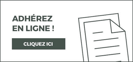 Document fiscaux à télécharger